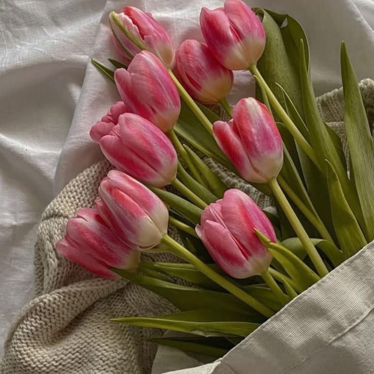 tulipas